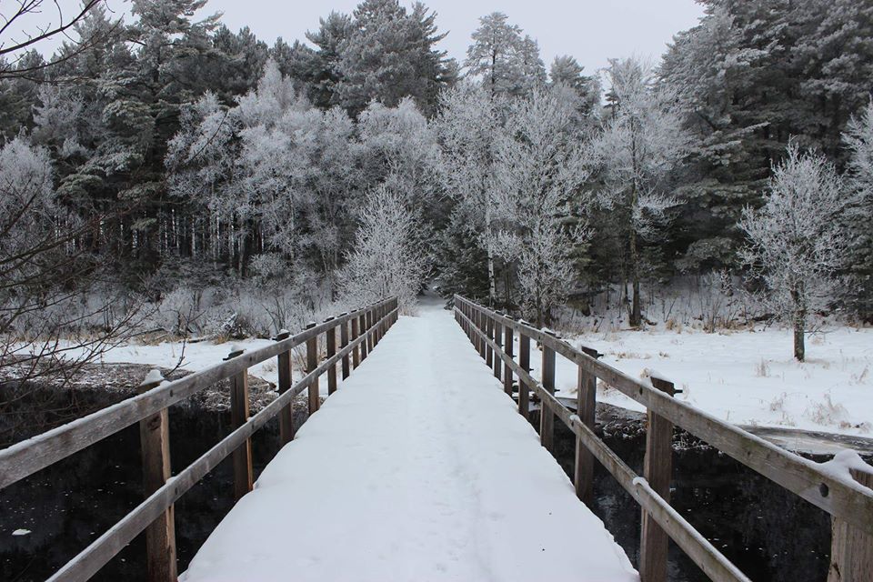 upper peninsula