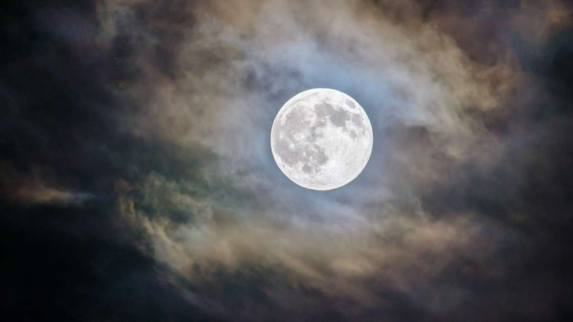 full moon werewolf