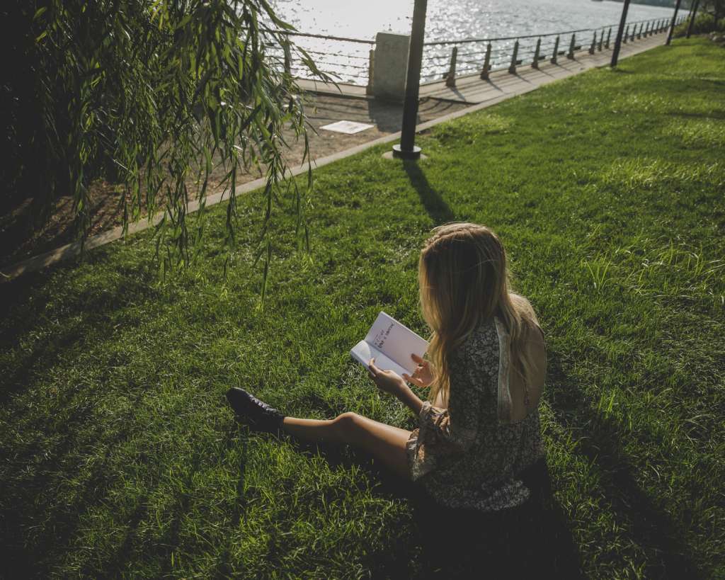 summer books 2020