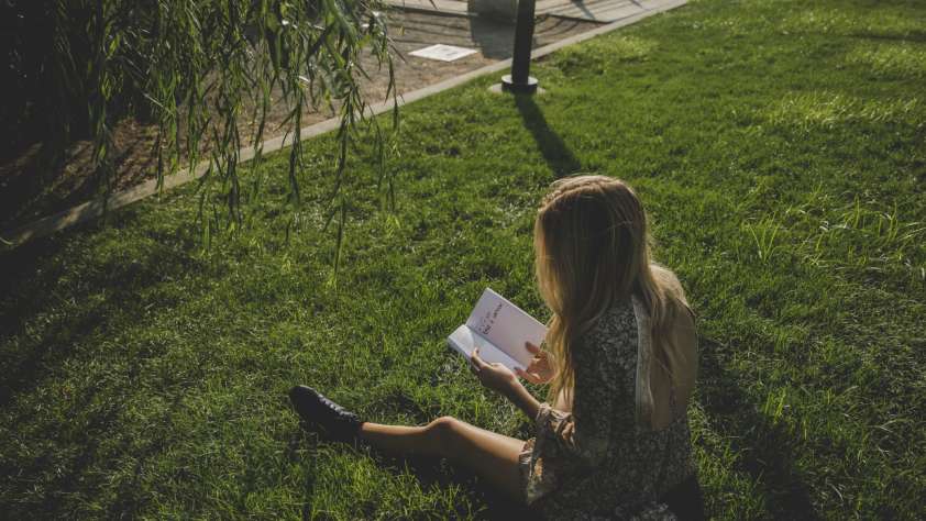 summer books 2020