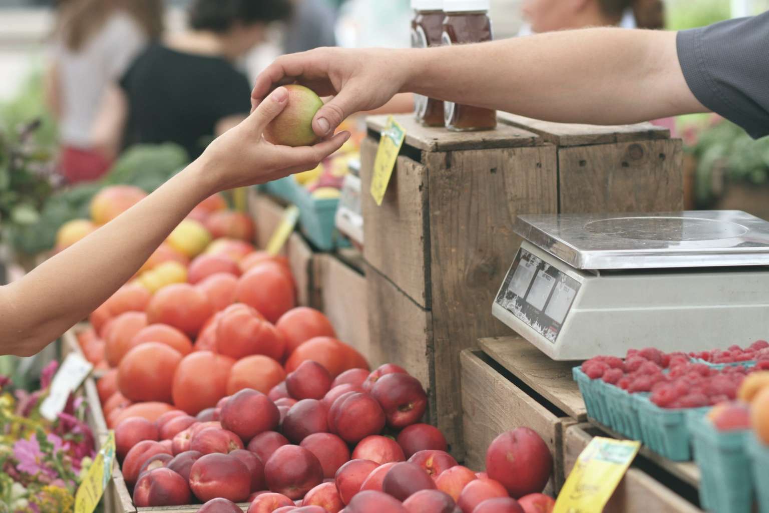 Amazon Unveils a Futuristic Grocery Store in Los Angeles Called Amazon