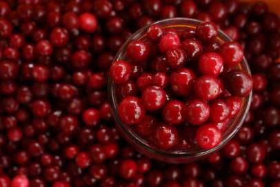 Thanksgiving Cranberry Sauce