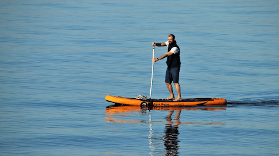 Paddle Board