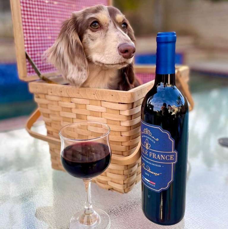 8 Best Wine Delivery Services Nationwide UrbanMatter