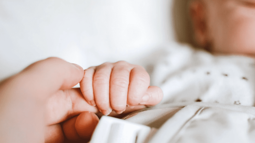 Surrogacy Procedure