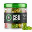 Cannaleafz CBD Gummies Canada Reviews: Is It Worth a Try? Read Canada Customer Review