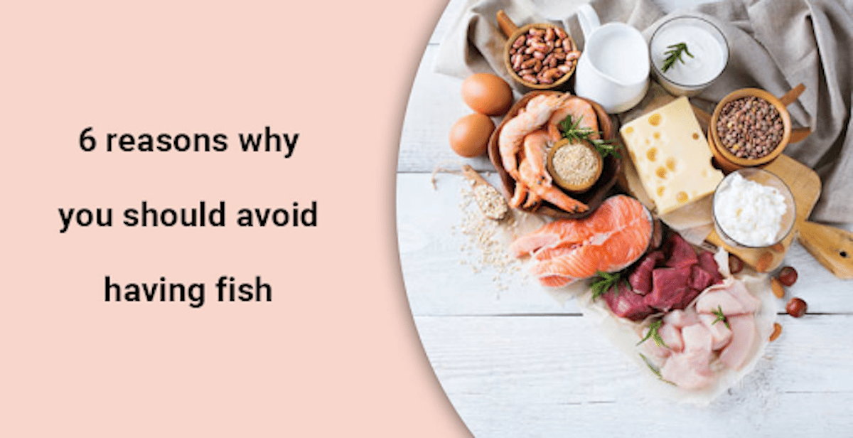 6 Reasons Why You Should Avoid Having Fish
