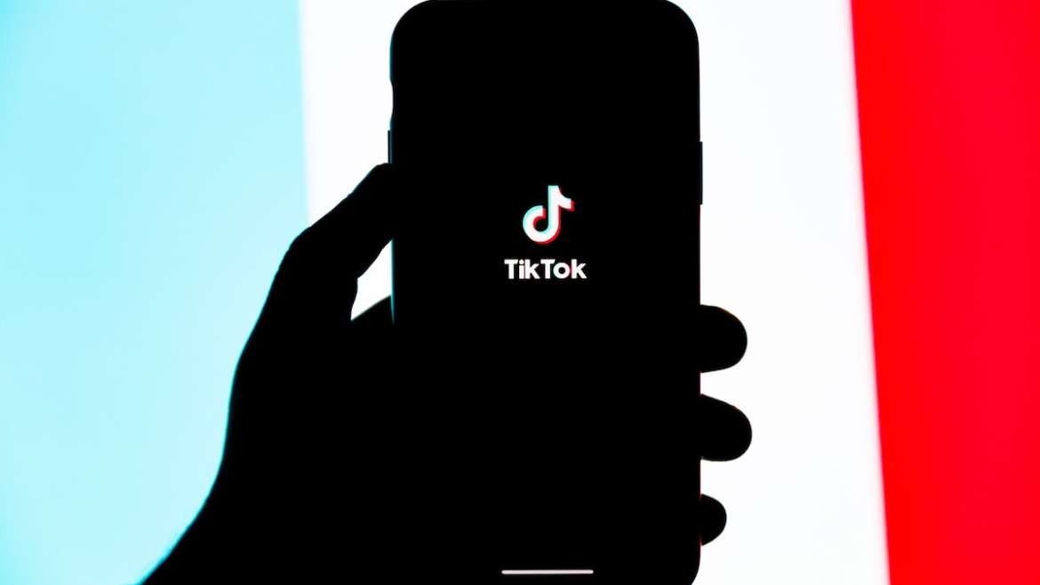 TikTok Followers