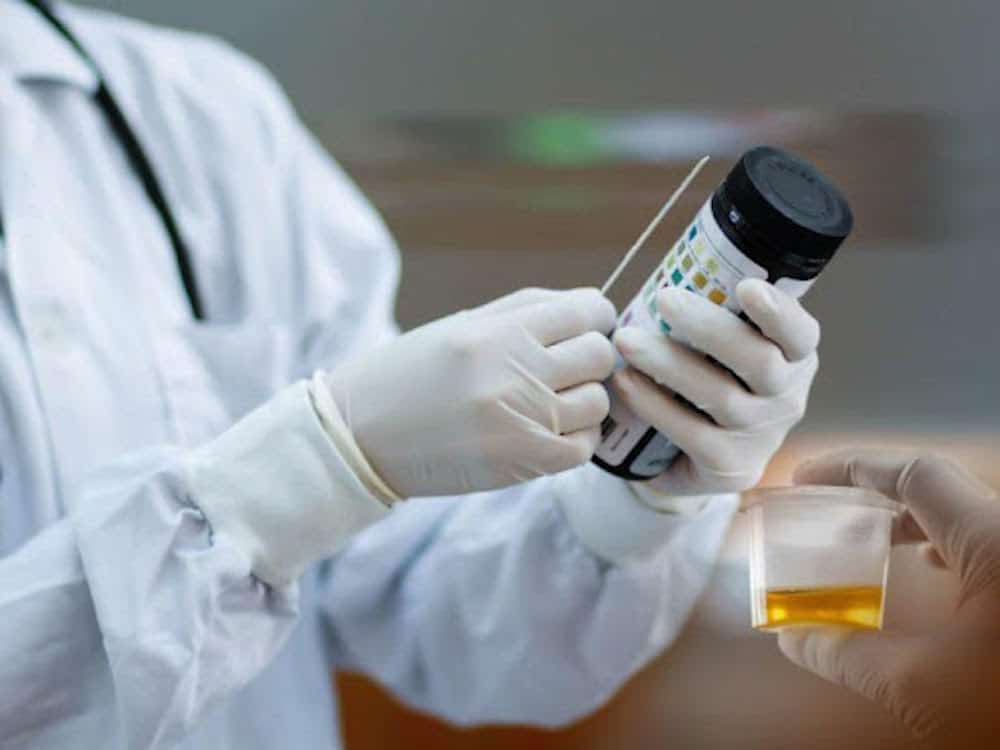 Best Synthetic Urine Guide: Full Reviews & How To Pass A Drug Test