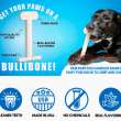 Bullibone Reviews – Legit Spinning Dog Chew Toy Worth It?