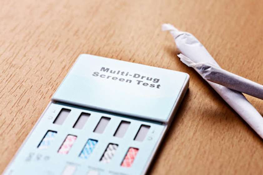 Drug Testing at Work What You Need to Know and How to Pass UrbanMatter