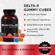 Discover 10 quick and easy recipes using Delta 9 Gummies