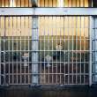 The Safety of Prison Facilities