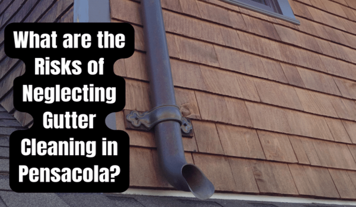 Gutter cleaning