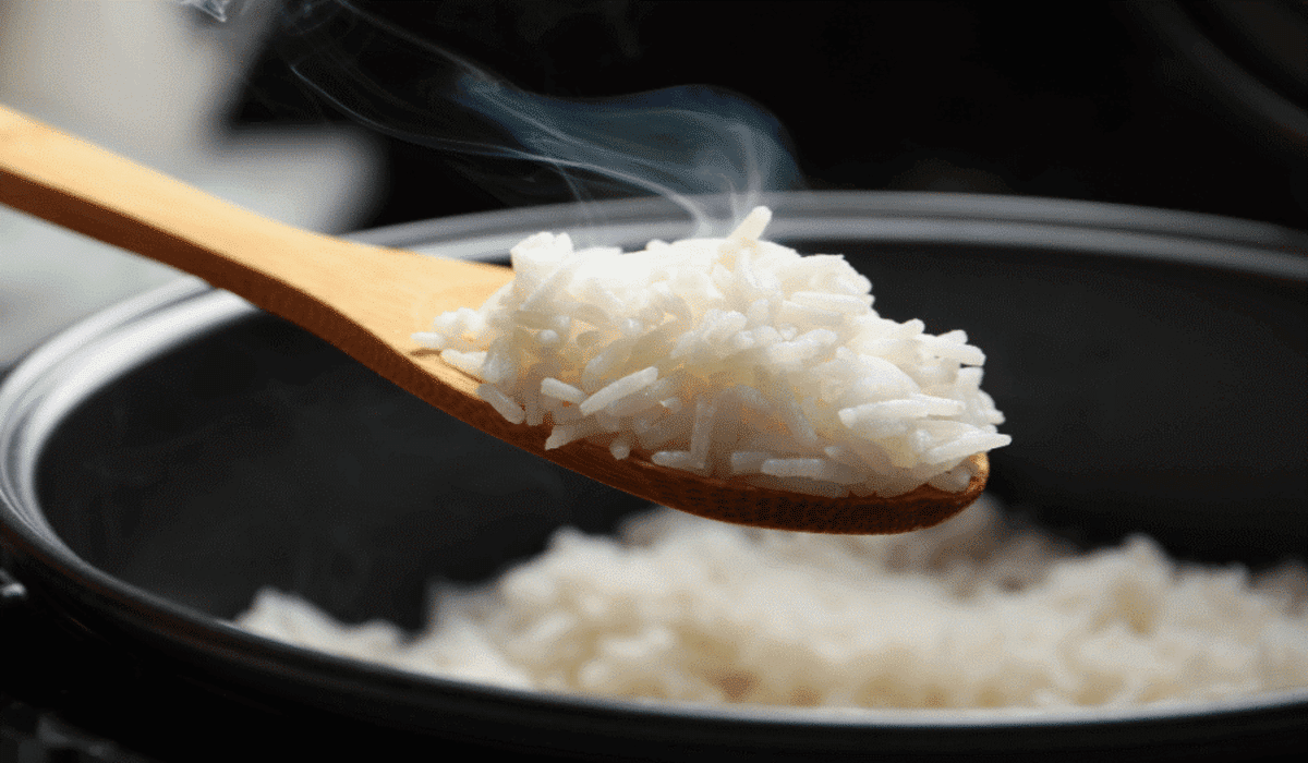 How 'Keep Warm' Technology Works in Rice Cookers UrbanMatter