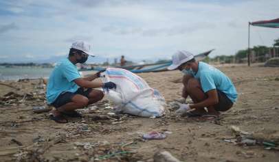 cleanup efforts