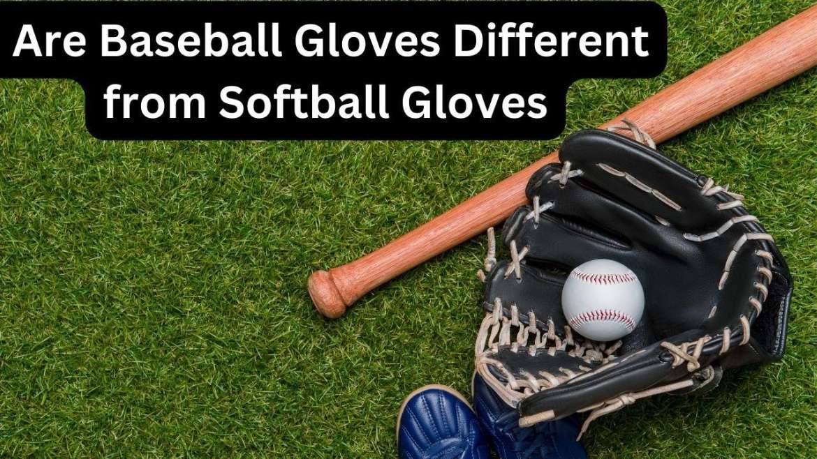 Baseball Gloves