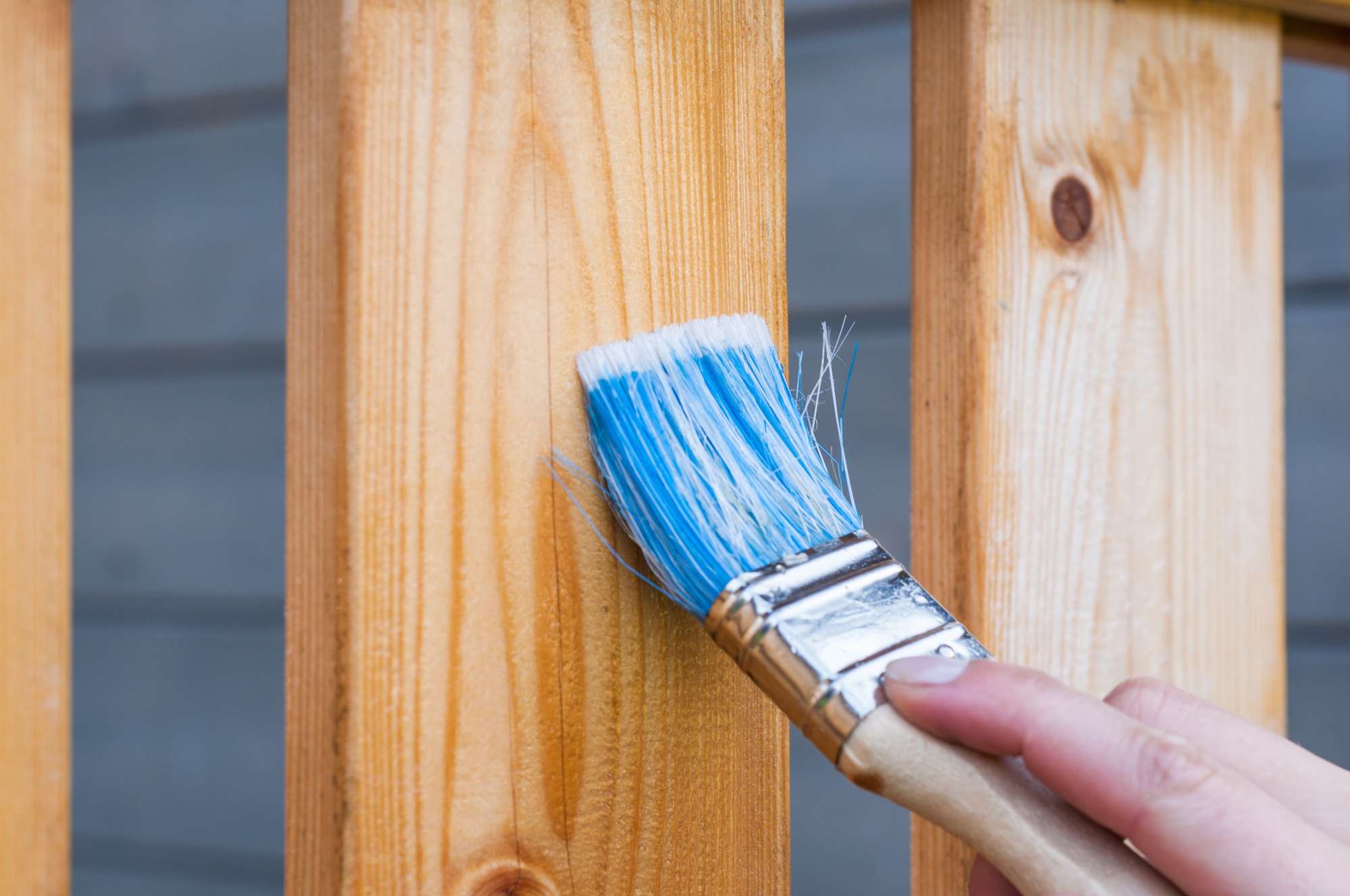 Professional Painting Company
