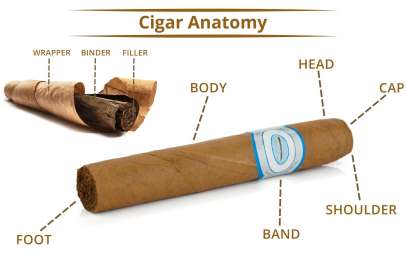 Cigar or Cigarette