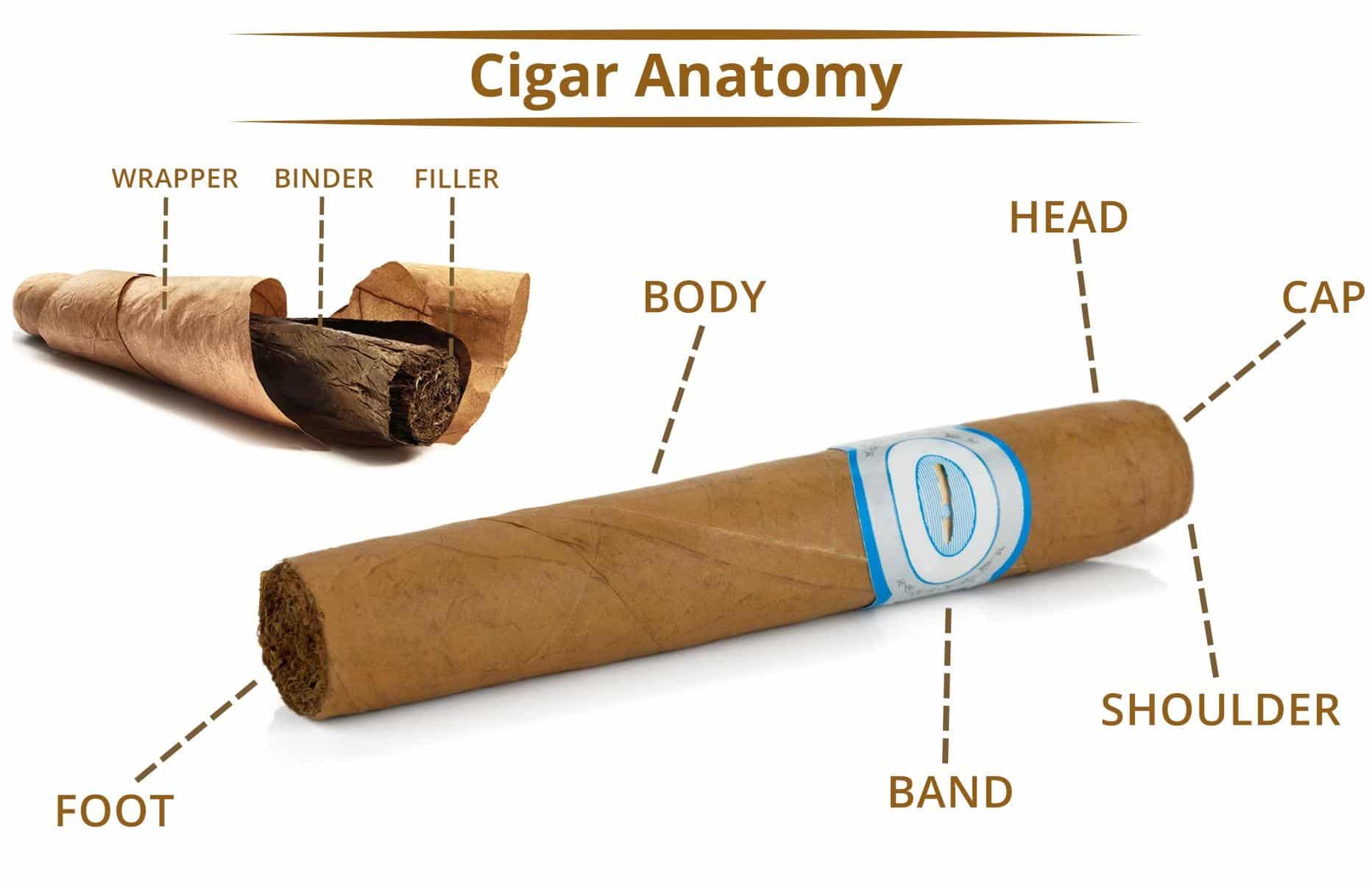 Cigar or Cigarette