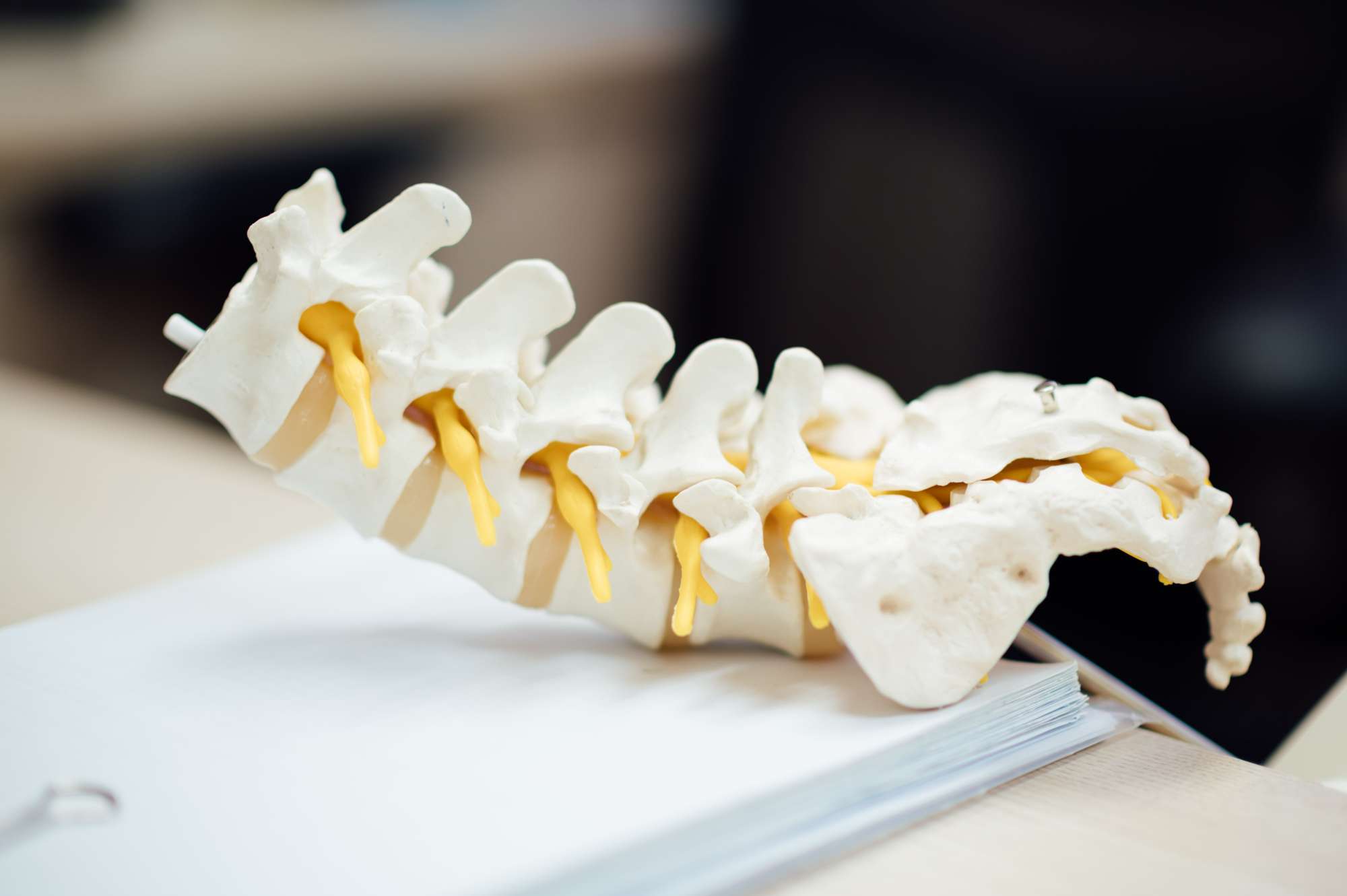 Chiropractor