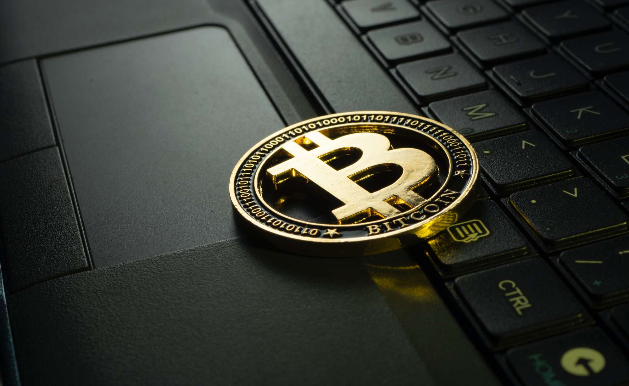 Crypto Casino Experience
