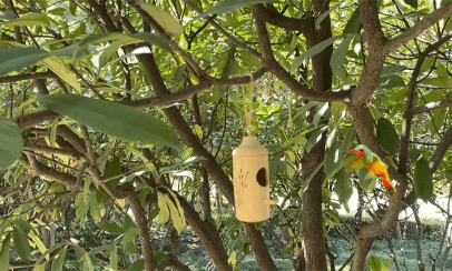 Wooden Hummingbird House