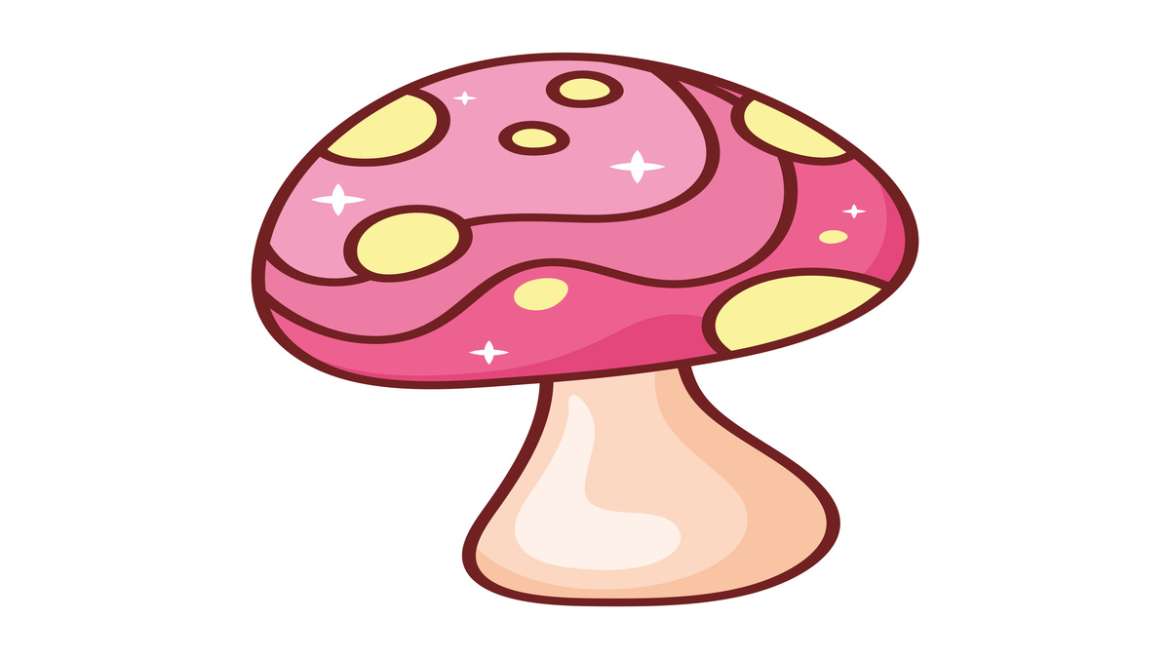 Chocolate Magic Mushrooms