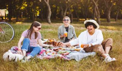 spring picnics