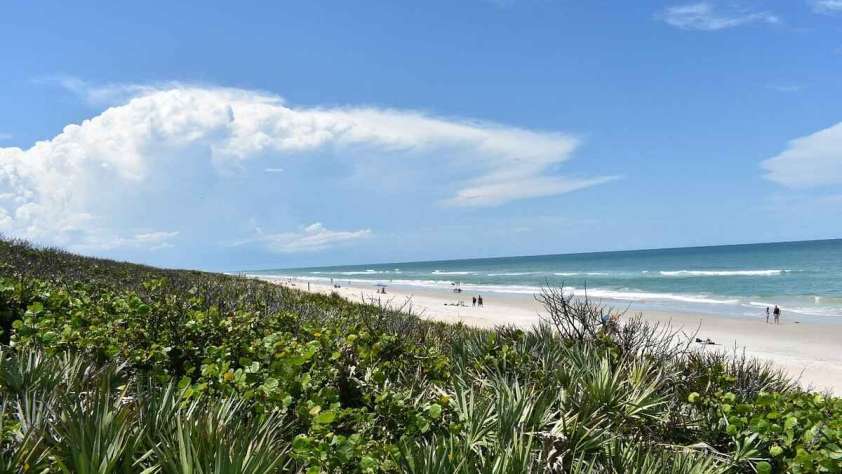 Canaveral National Seashore