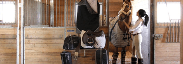 Ariat Bag