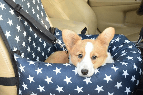 back seat cover for dogs