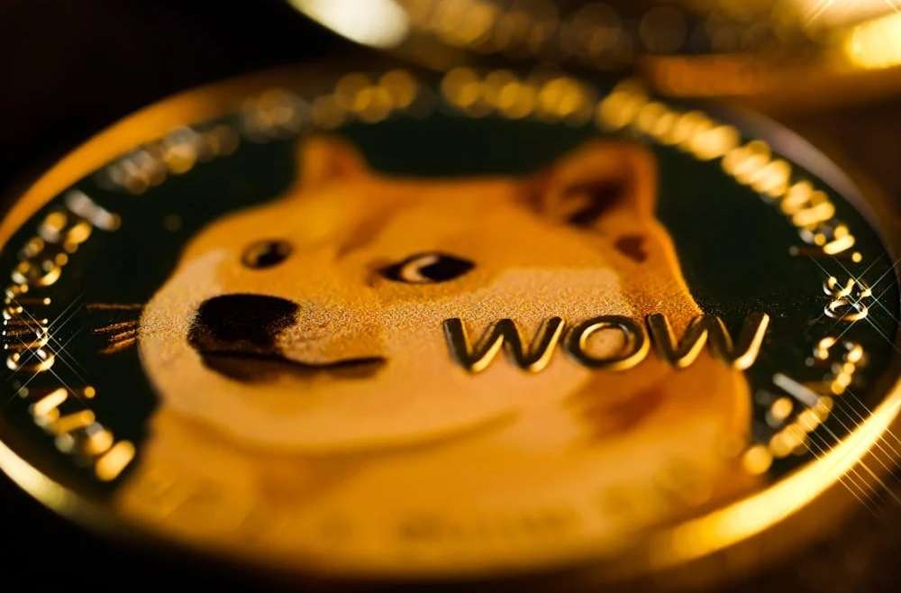 celebrities supported Dogecoin