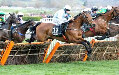 Stayers' Hurdle