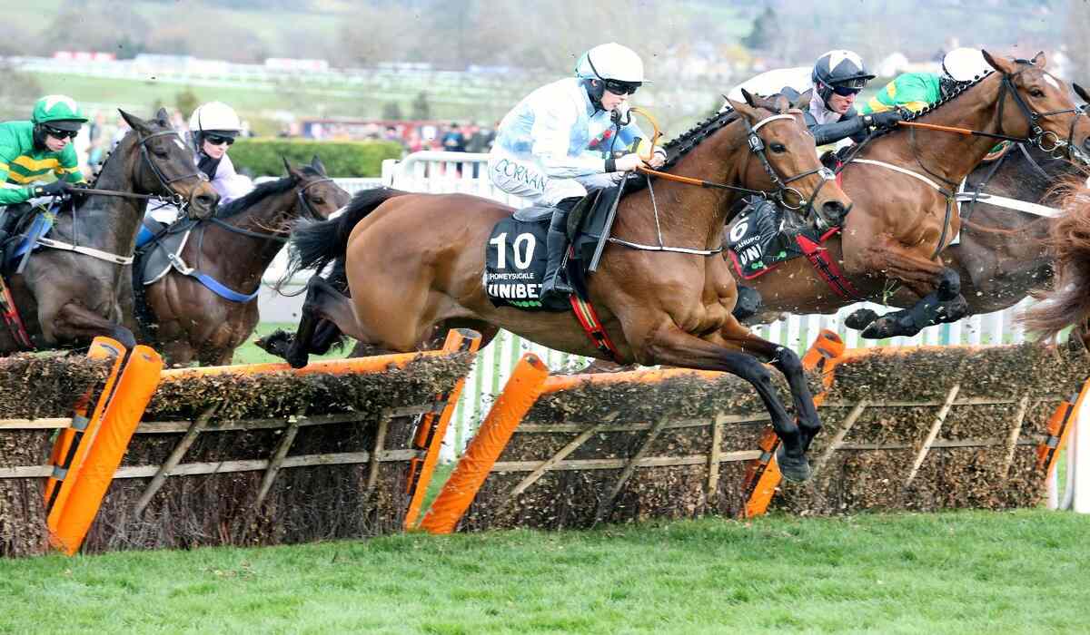 Stayers' Hurdle