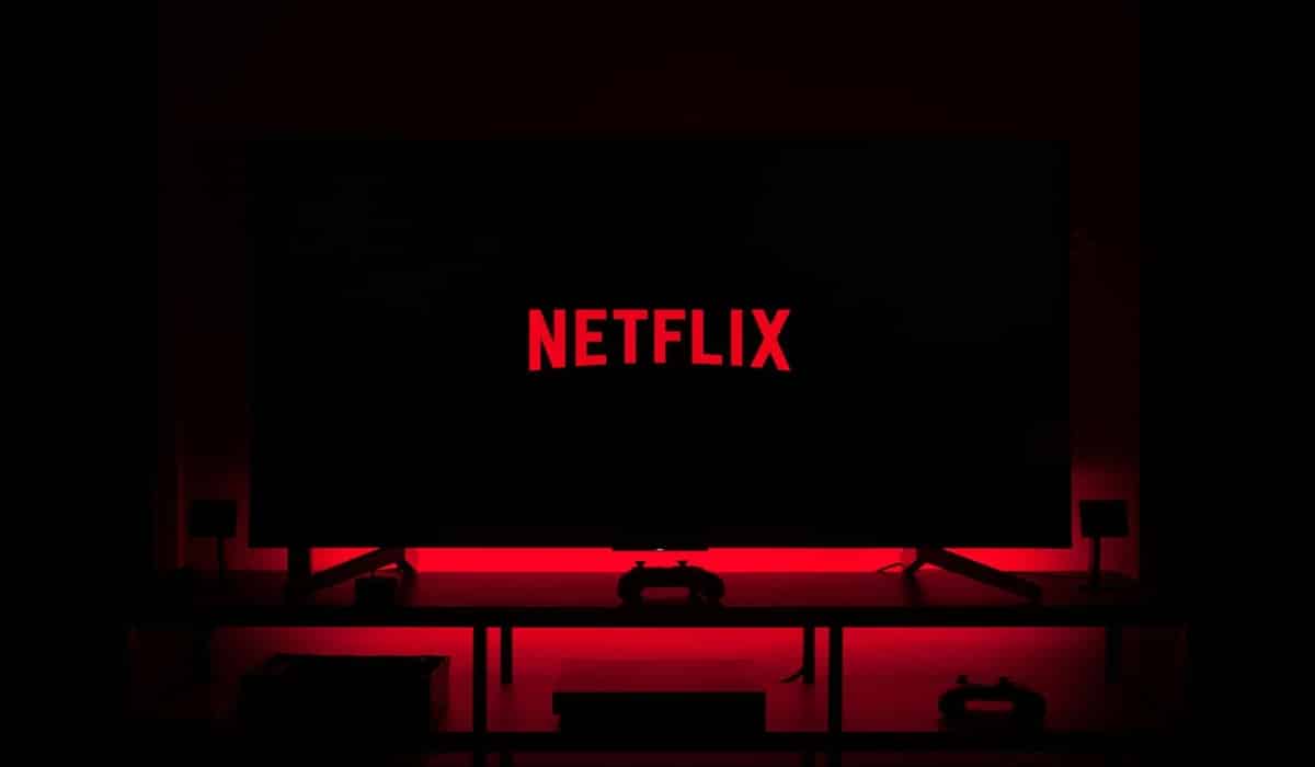 Netflix home entertainment