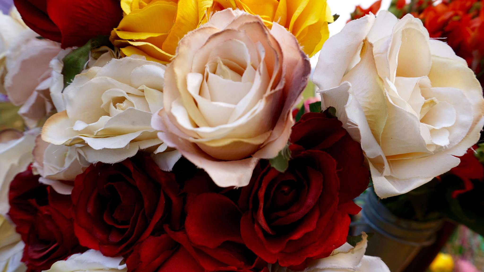 Roses