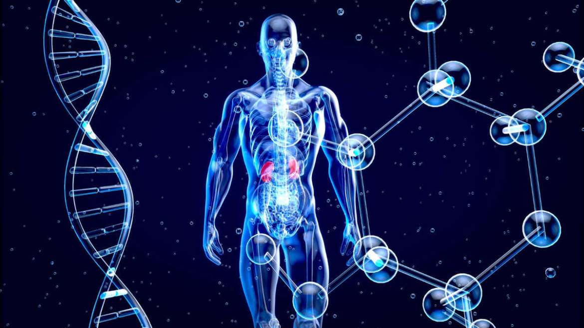 synthetic biology