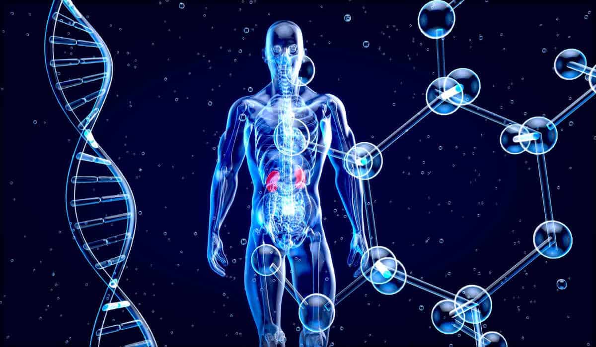synthetic biology