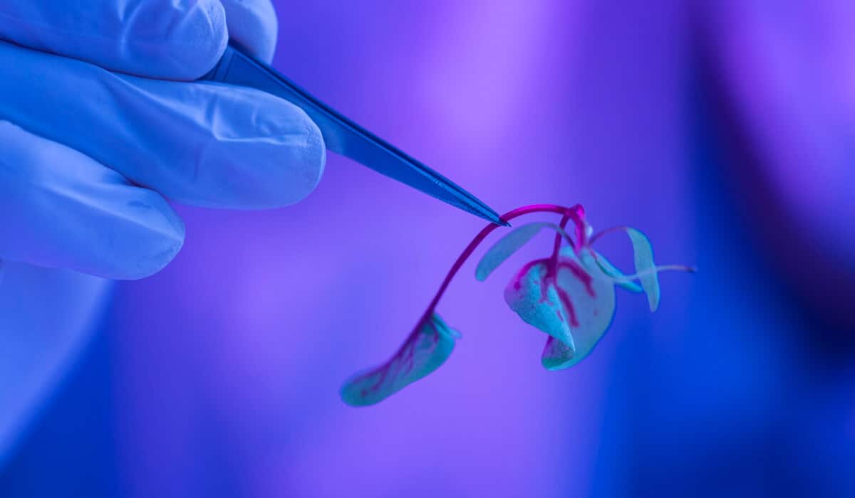 synthetic biology