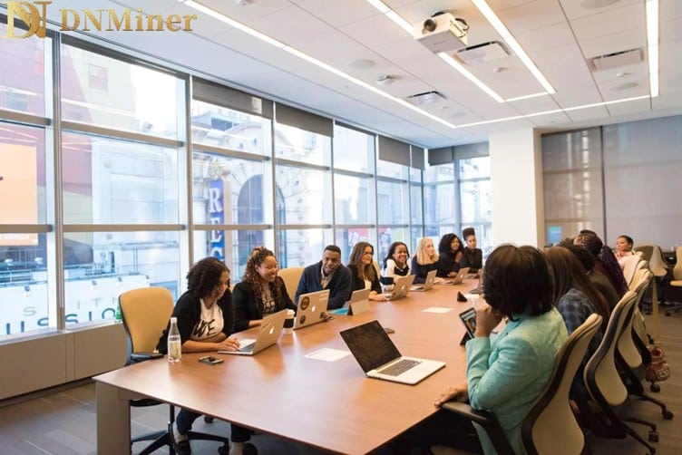 DNMiner meeting