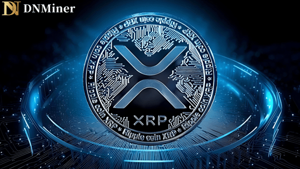 DNMiner