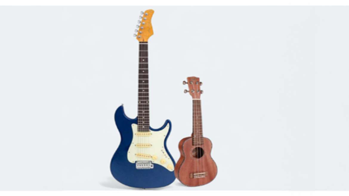 Learn Guitar or Ukulele