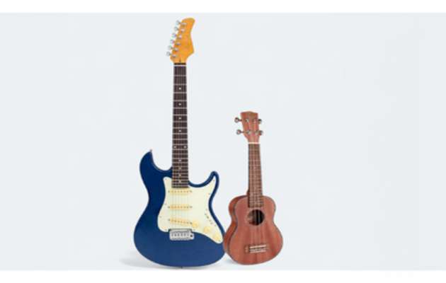 Learn Guitar or Ukulele