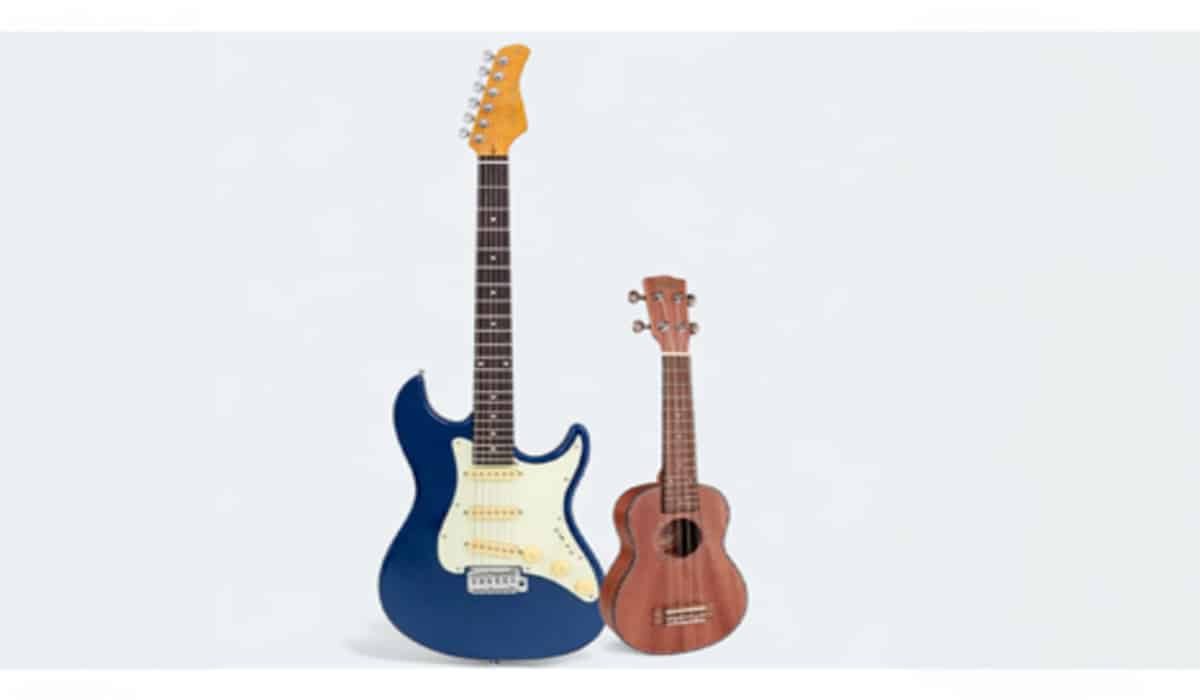 Learn Guitar or Ukulele