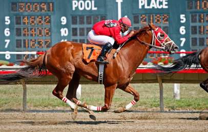 sports betting
