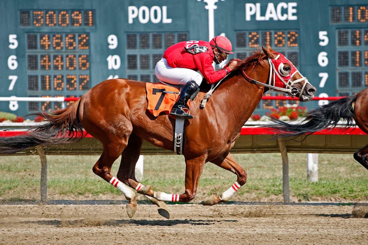 sports betting