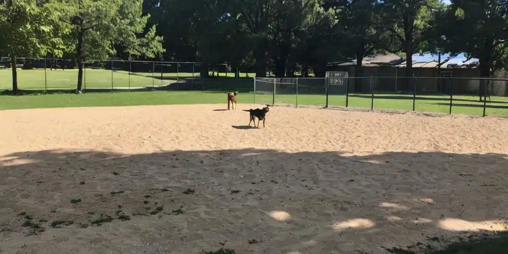 Dog Park