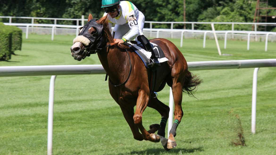 Jockey on top of horse