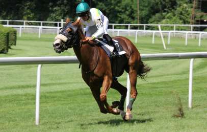 Jockey on top of horse